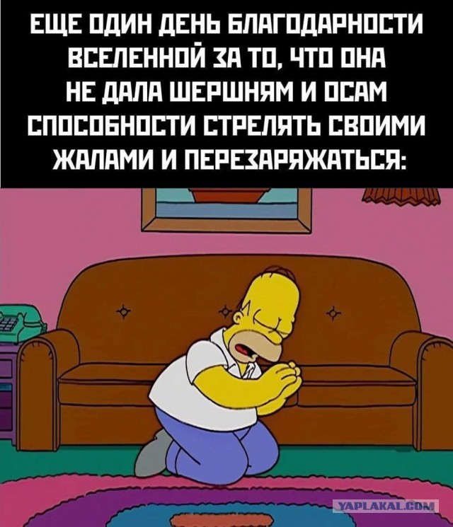Картинки для деградации 157 (разной степени свежести)