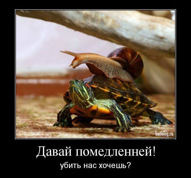 Немного картинок в четверг