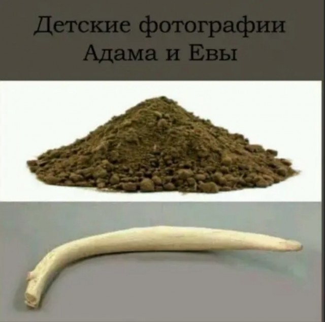 Адам и Ева: главная тайна человечества, о которой молчат в воскресной школе