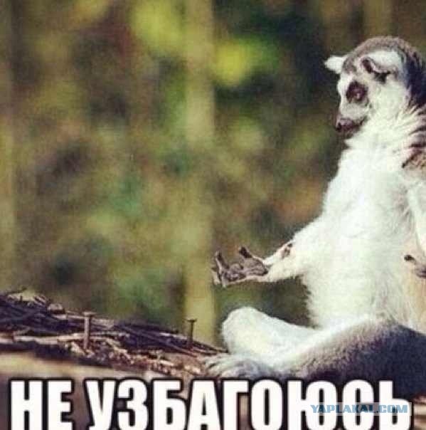 Узбагойся