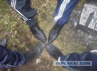 Как появляются гопники