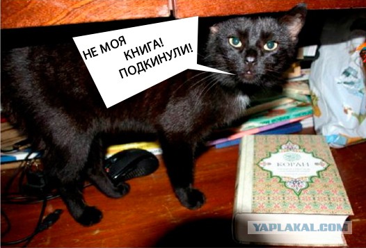 Юный шахид из Твери