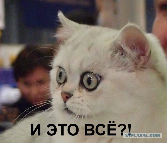 Факты о сексе, которые были доказаны наукой
