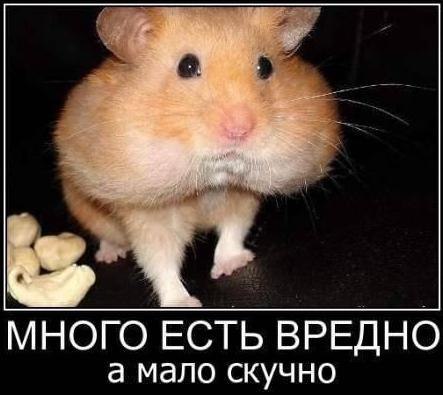 Веселые картинки № х/з