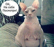 Украинский депутат назвал русских