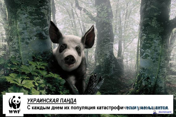 Смешное из сети #2