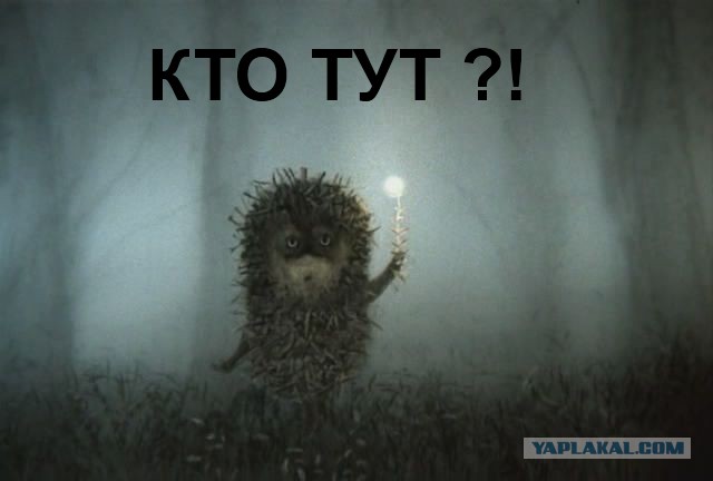 Голая баба - запретный плод +18