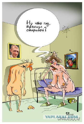 Весёлые картинки
