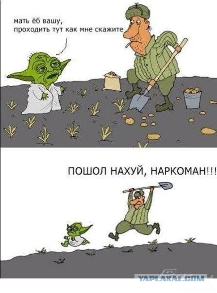 Мнение о ЯПе