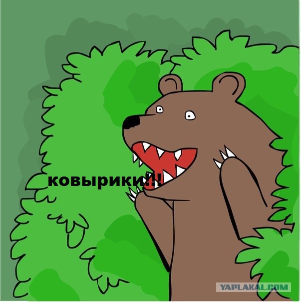 Насрал - убирай.