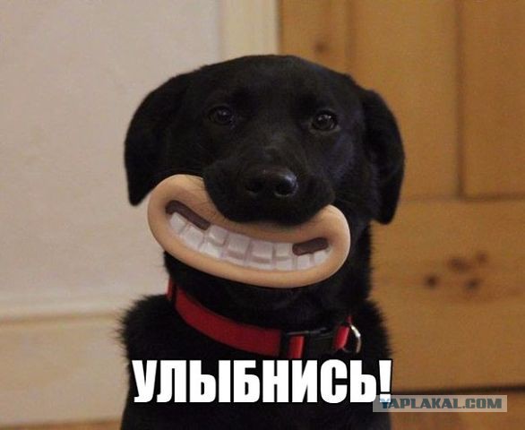 Картинки 12.05.2015