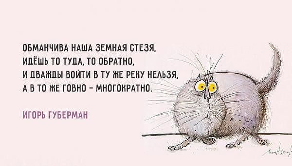 Цитаты из нашей жизни