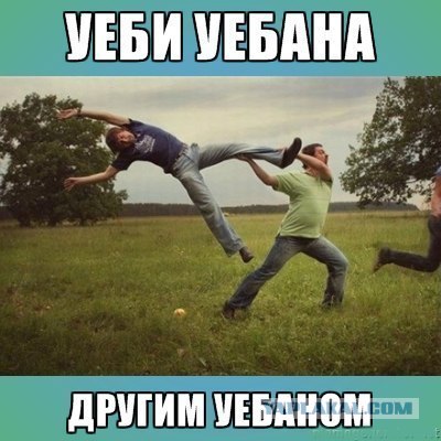 Вот что думают поляки по поводу махача