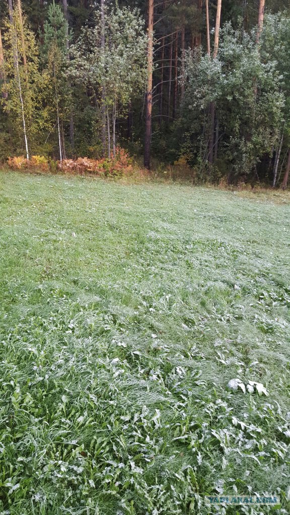 Подборка фотографий, на которых нет ничего лишнего