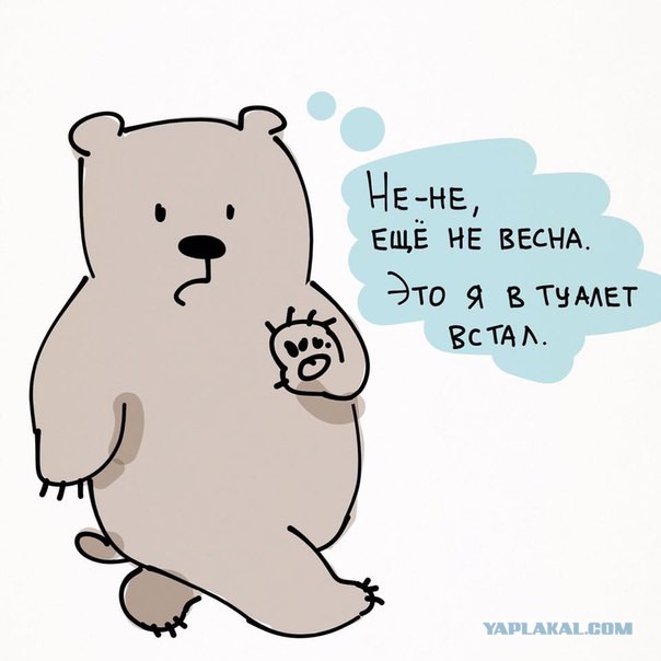 Анекдоты. Фразы.