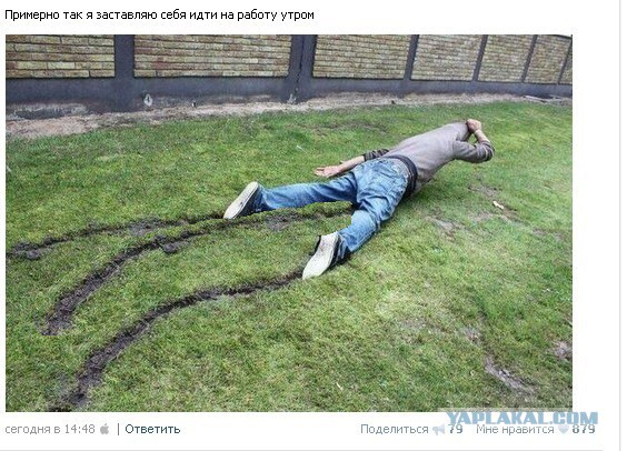 Ужасы и приколы из соцсетей 18+