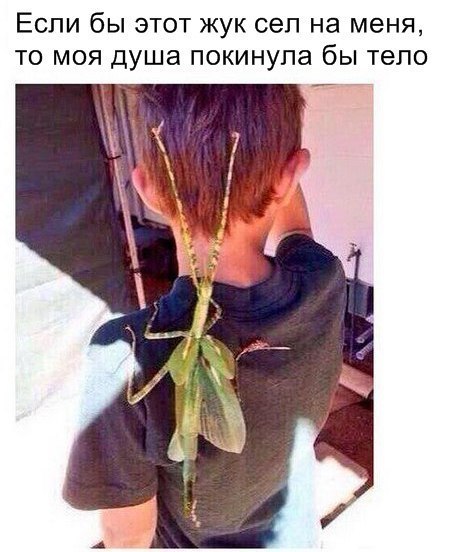 Рабочей субботе  посвящается