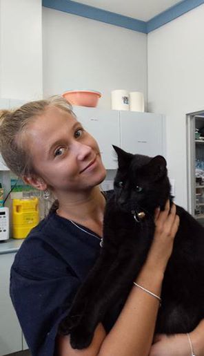 Котенок Альф стал частью персонала в ветеринарной клинике!