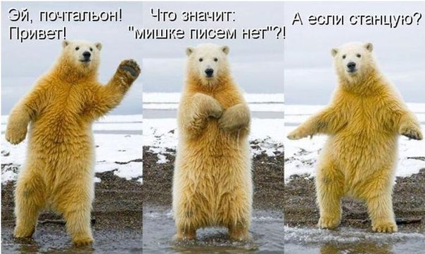 Мохнатые беспредельщики