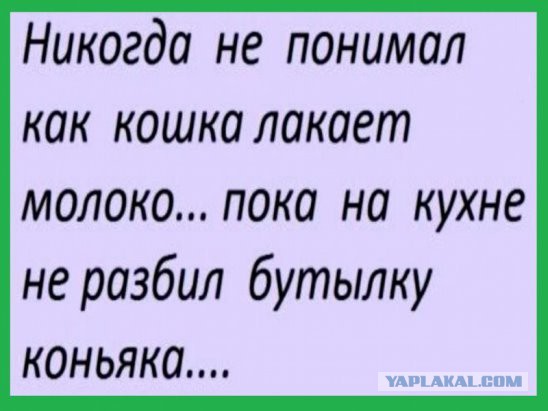 Подборка интересных и смешных картинок