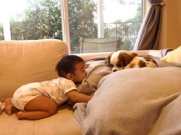 Подборка интересных и веселых фото