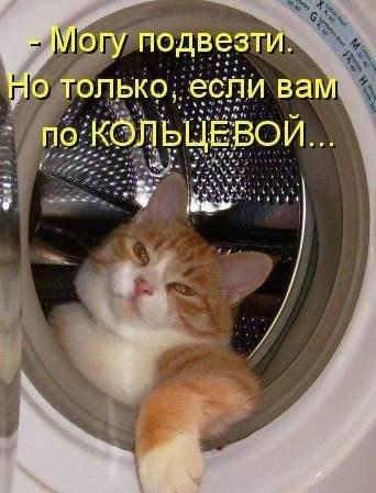 Подборка интересных и веселых фото
