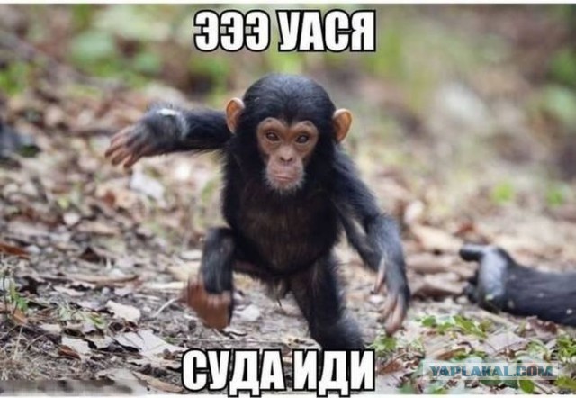 В Махачкале избили защищавшего геев блогера-пикетчика