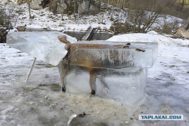 Охота голыми руками
