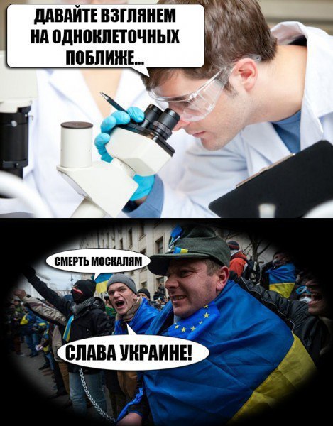 Немного доброго полит юмора