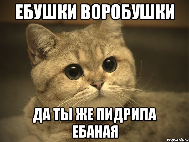 Малолетнее чмо в очереди поликлиники