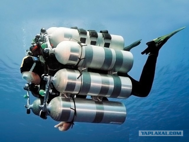 С днем рождения дайверу