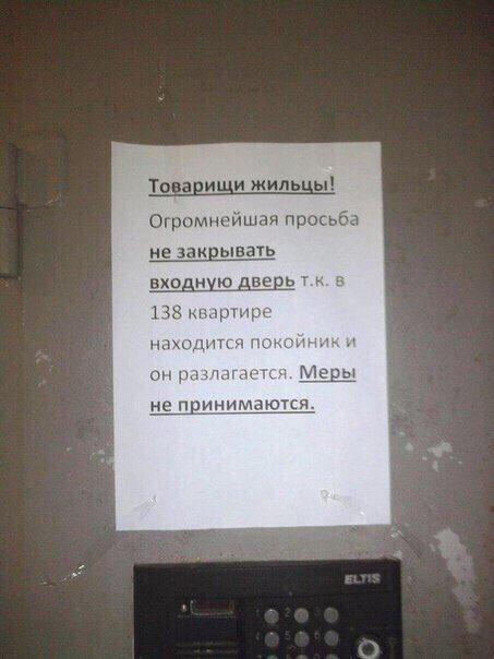 Подборка интересных и веселых картинок