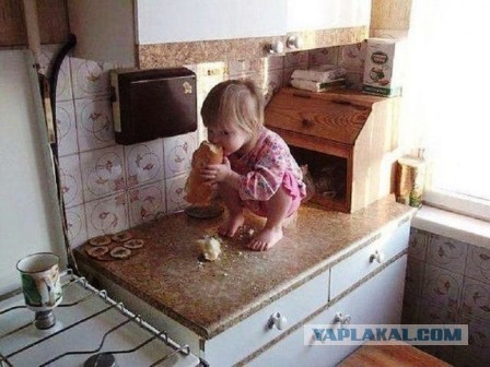 Ты - не ты, когда голоден
