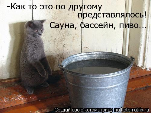 Неприятные факты о бассейнах