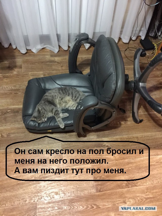 Бунт на корабле