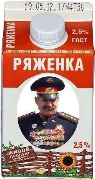 Около 60 тысяч казаков обеспечат соблюдение порядка на президентских выборах, кроме Чечни и Ингушетии