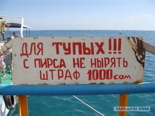 Прикольные дорожные знаки
