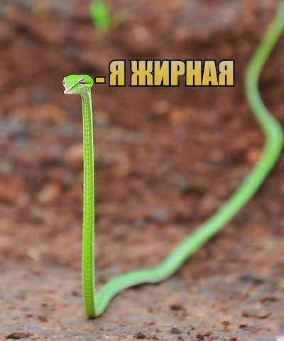 Ползучие гады повылезли