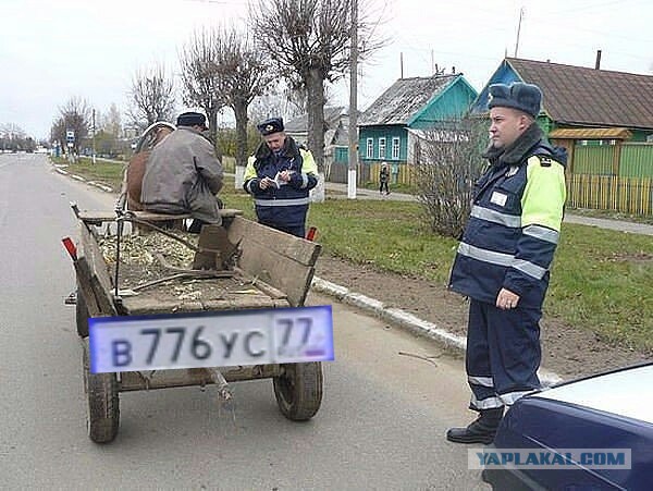 Подборка интересных и веселых картинок