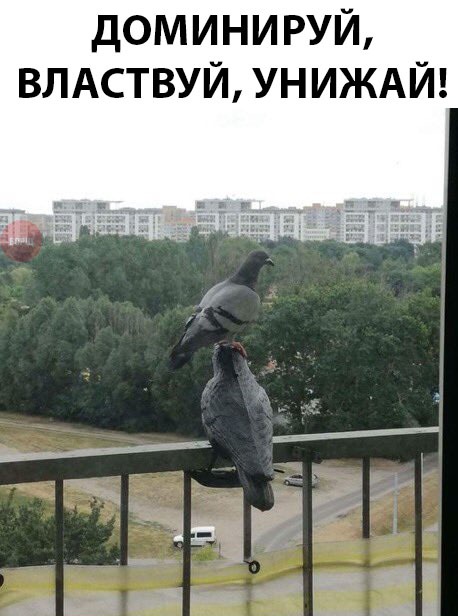 Прикольные картинки абавсём
