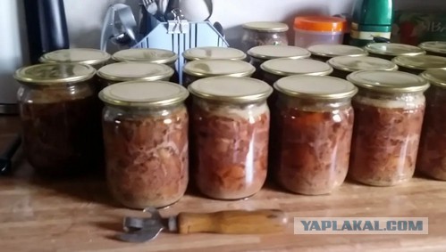 Тушенка 1945 года выпуска ннада?