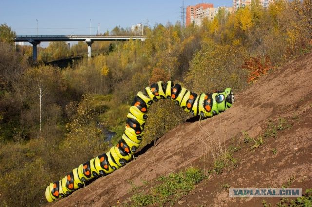 Уличный художник из Перми Александр Жунев умер этой ночью в поезде Москва-Пермь