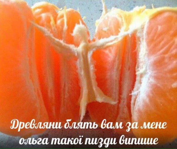 Подборка интересных и веселых картинок