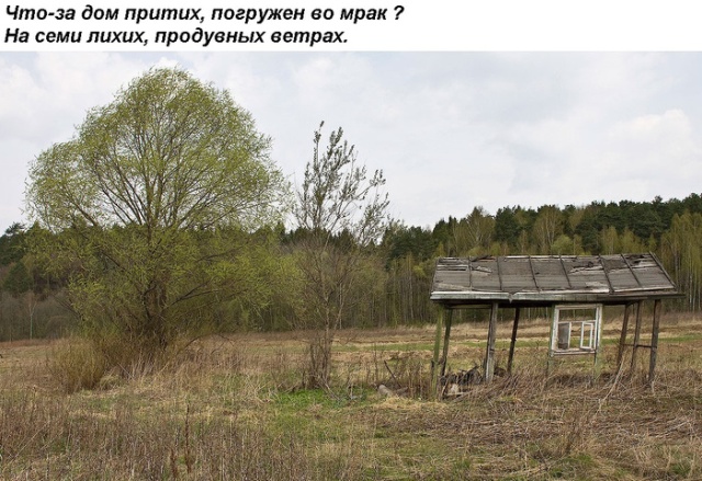 Нестандартный юмор
