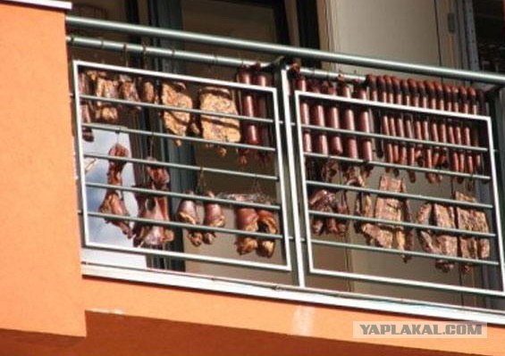 Каждый день я помогаю своему коту почесать ухо