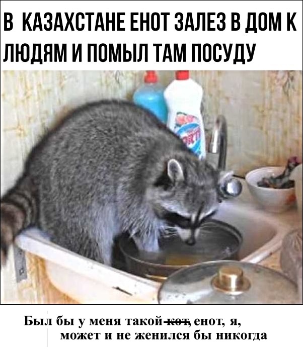 Картинки с надписями, истории и анекдоты