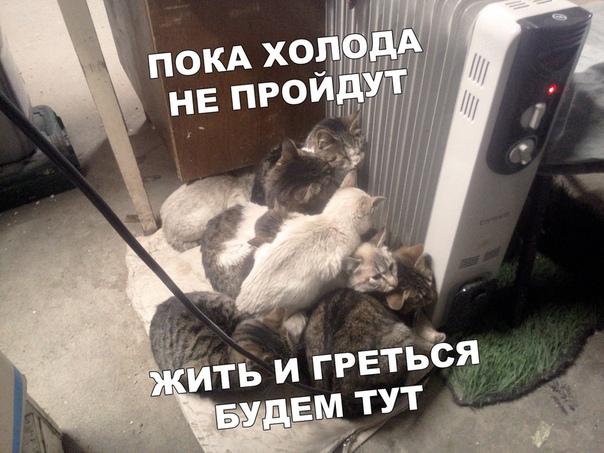 Алкопост! В картинках
