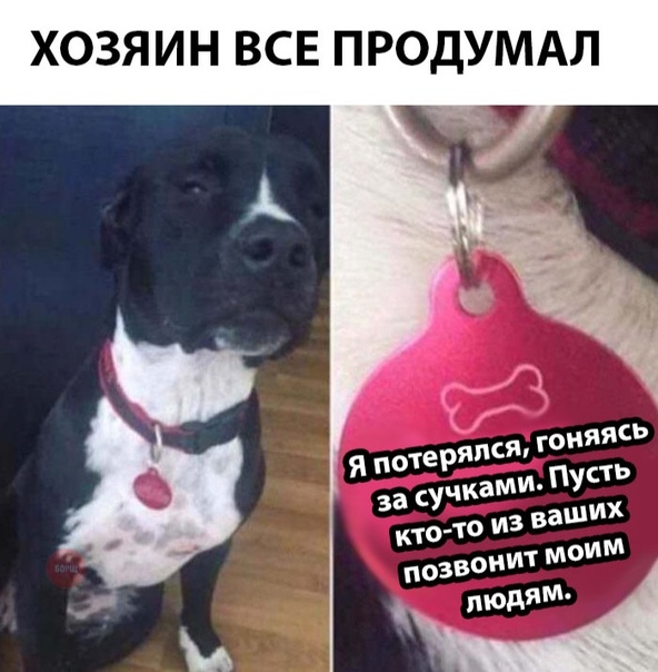 Чуток картинок. 08.01.2020
