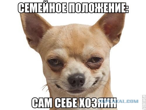 Этот взгляд