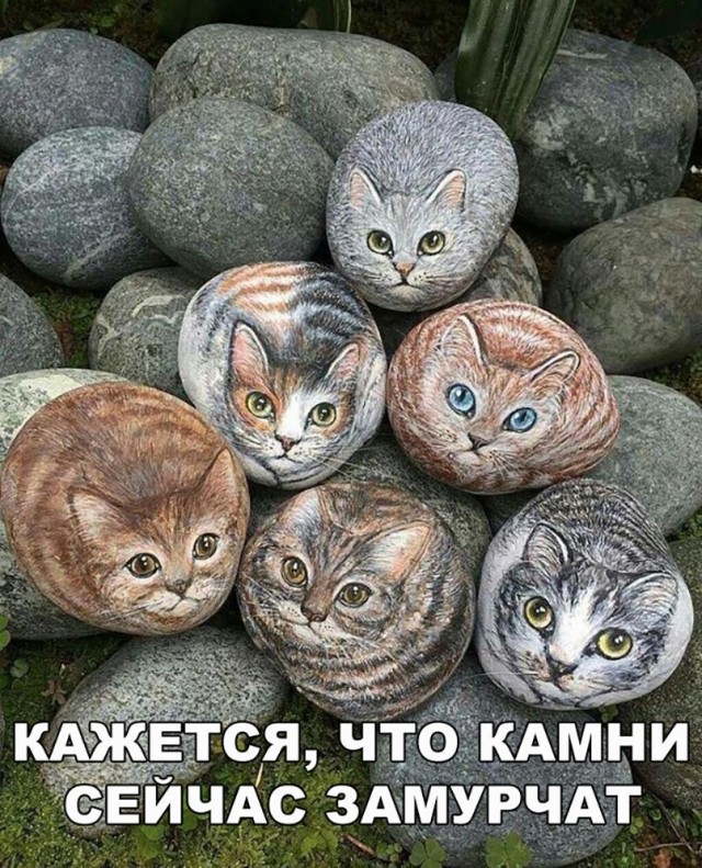 50 так себе картинок 02.06.20